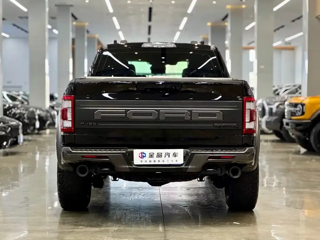 Ford F-150 Raptor 2023 из CN, фото 6