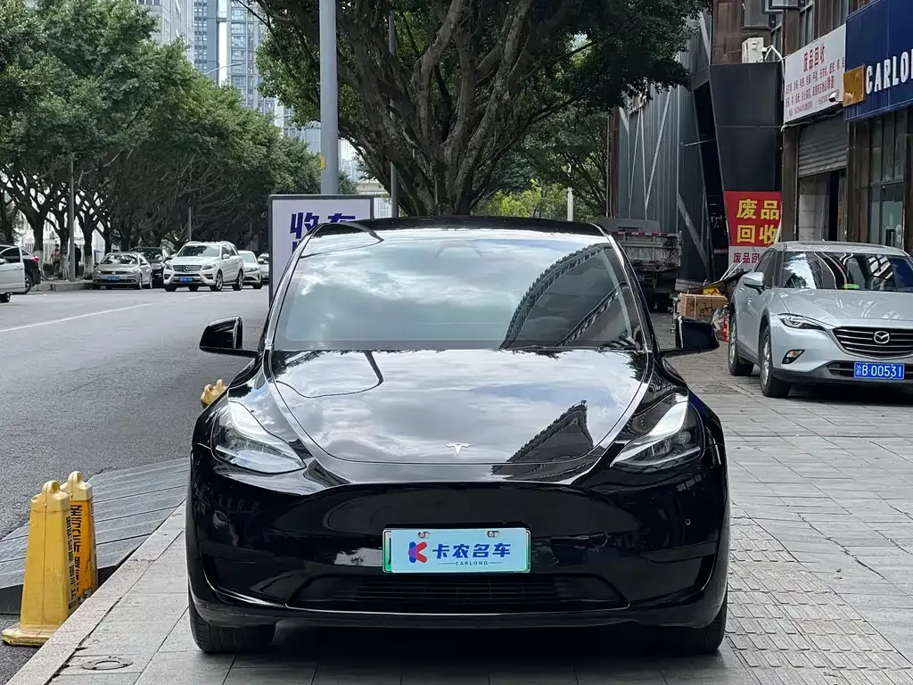 Tesla Model Y — фото 10