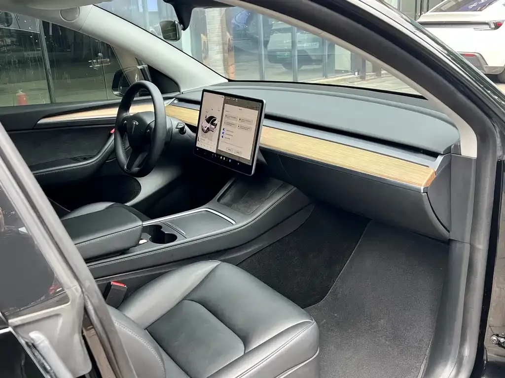 Tesla Model Y — фото 9