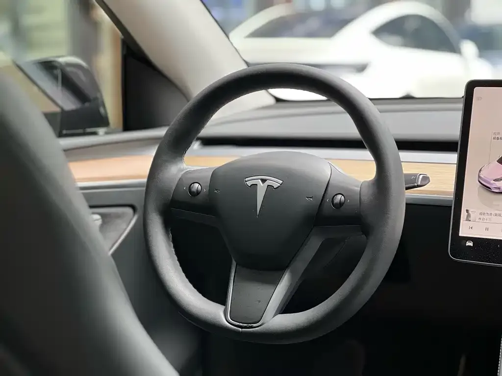 Tesla Model Y — фото 2