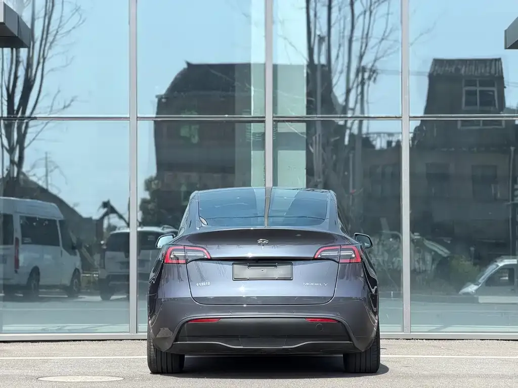 Tesla Model Y — фото 8