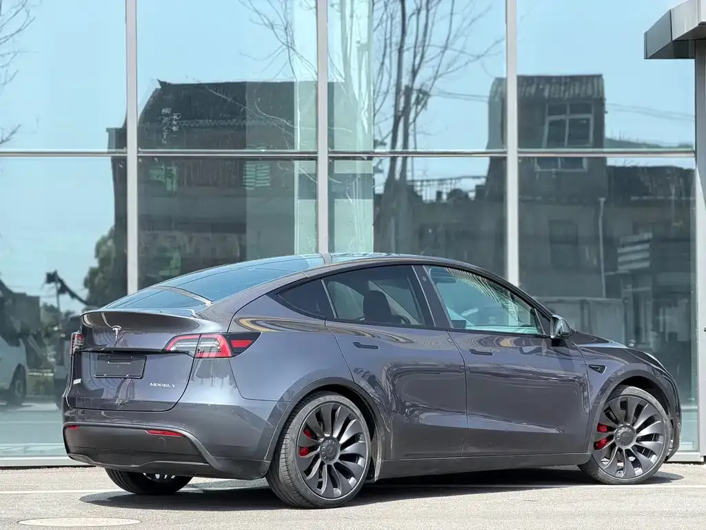 Tesla Model Y — фото 5