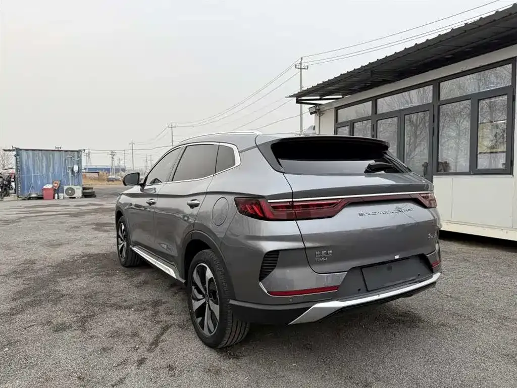 BYD PLUS New Energy 2022 из CN, фото 6