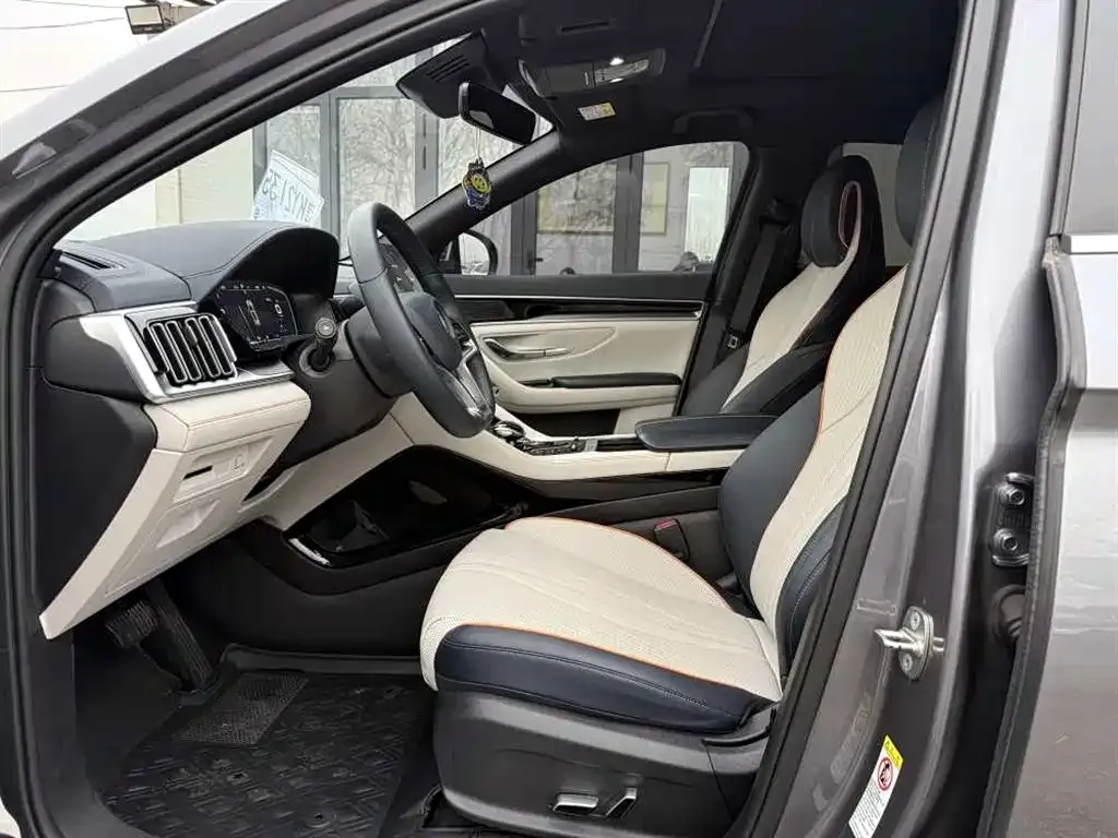 BYD PLUS New Energy 2022 из CN, фото 8