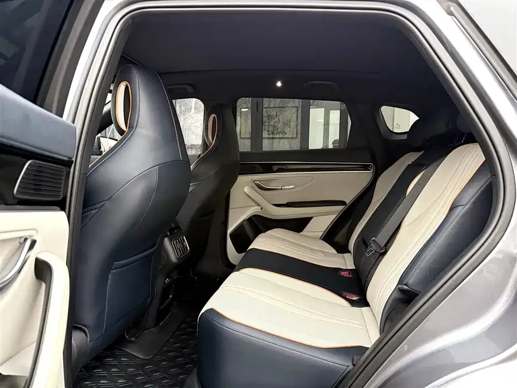 BYD PLUS New Energy 2022 из CN, фото 2