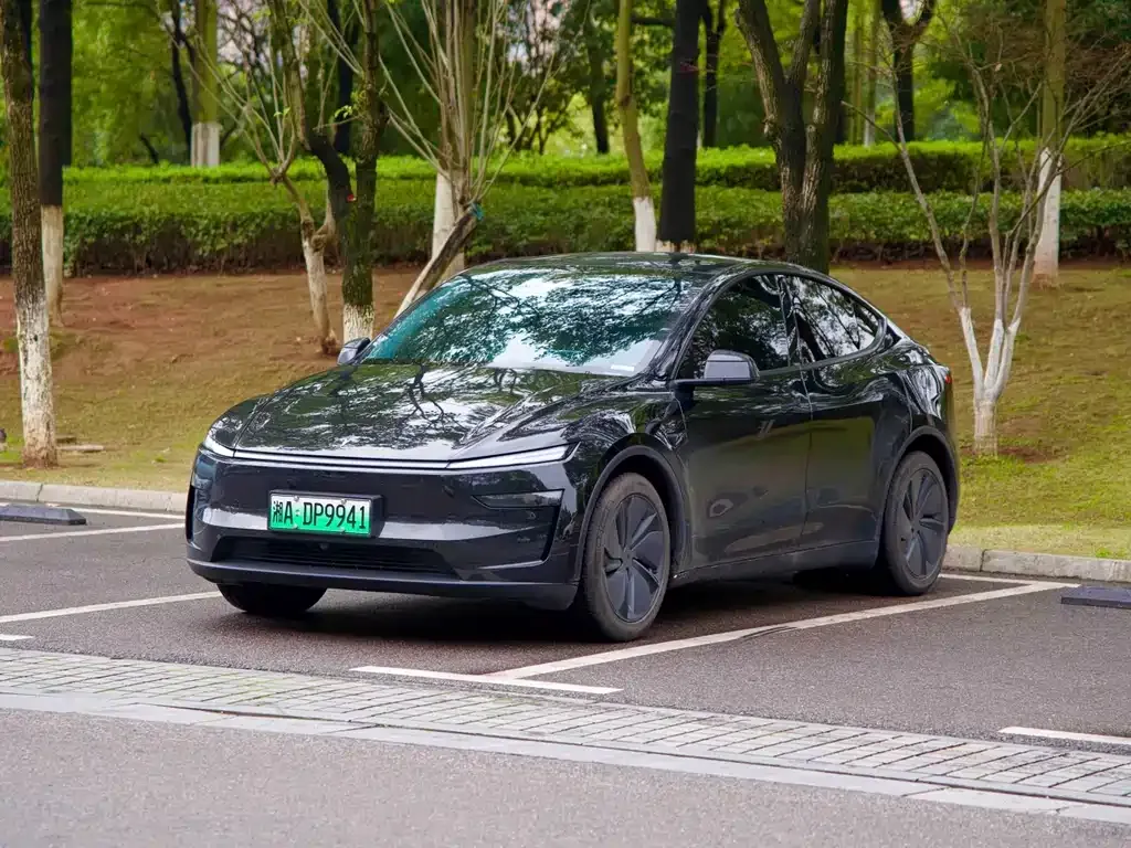 Tesla Model Y — фото 1