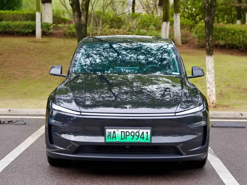 Tesla Model Y — фото 4
