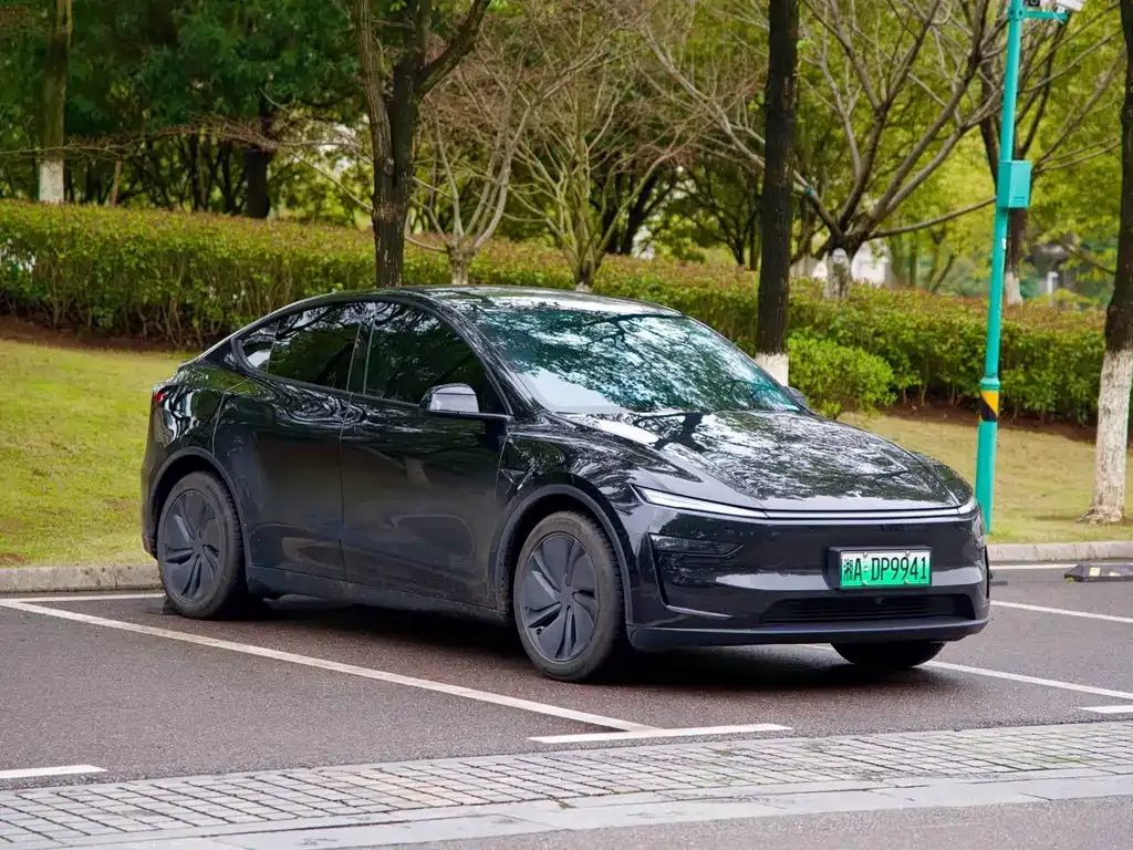 Tesla Model Y — фото 3
