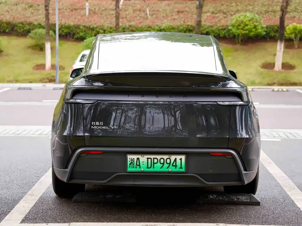 Tesla Model Y — фото 2