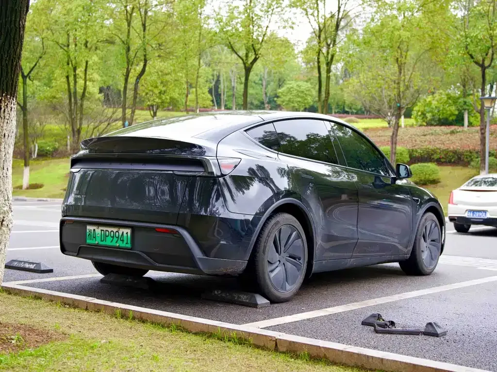 Tesla Model Y — фото 5