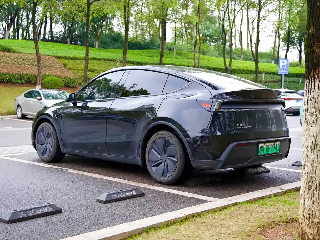 Tesla Model Y — фото 7