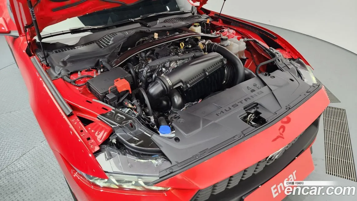 Ford Mustang 2024 из KR, фото 10