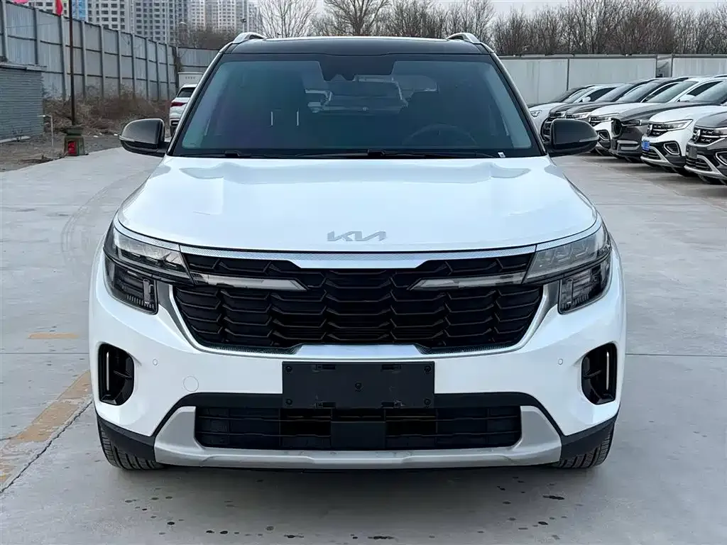 Kia Seltos 2023 из CN, фото 5