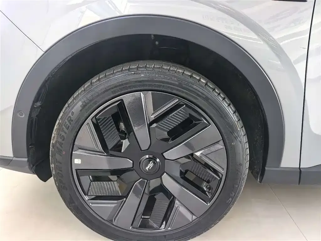 Ford Lingyu New Energy 2024 из CN, фото 6