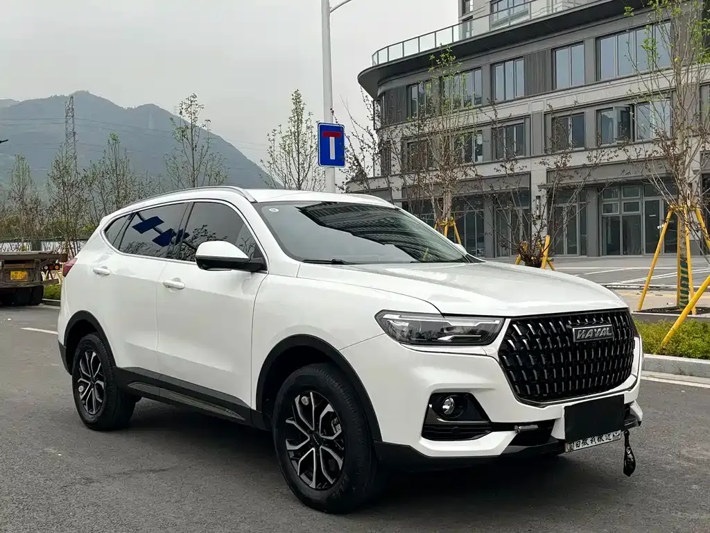 Haval H6 2024 из CN, фото 7