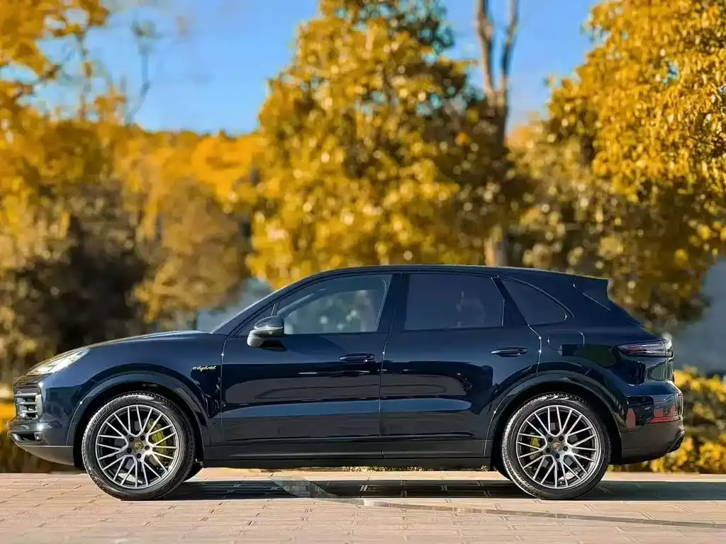 Porsche Cayenne — фото 8