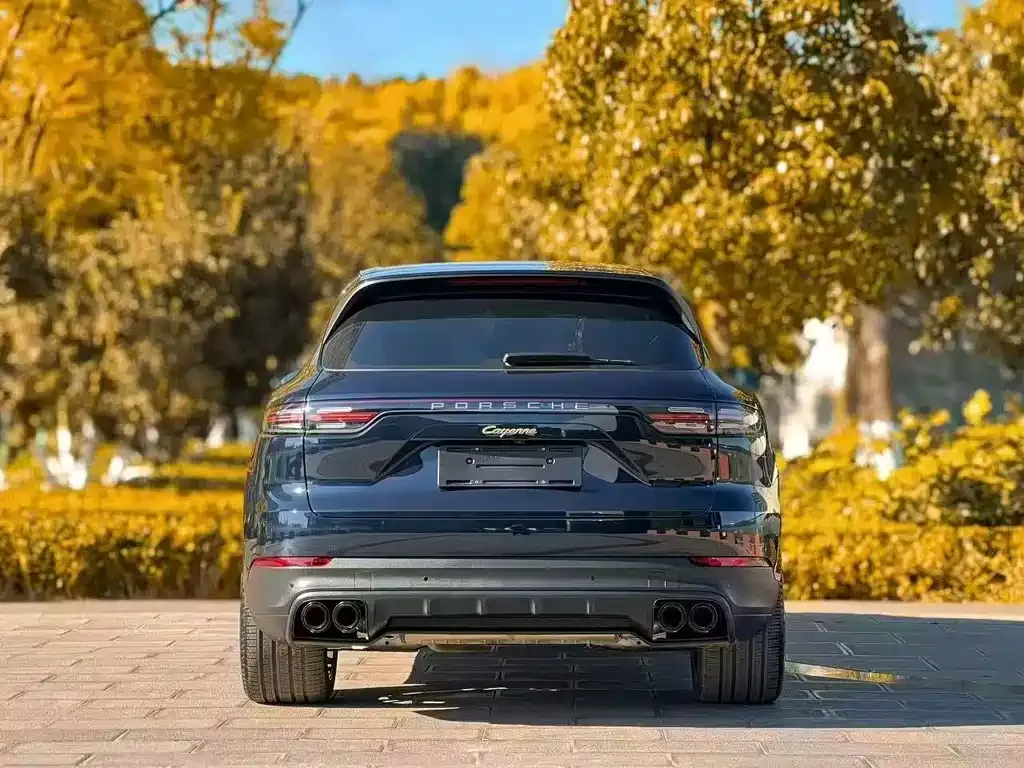 Porsche Cayenne — фото 6
