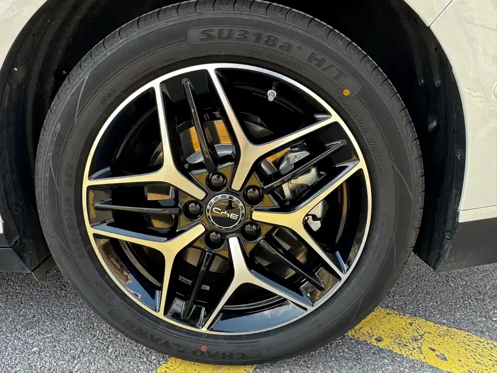 BYD Seal 06 2025 из CN, фото 7