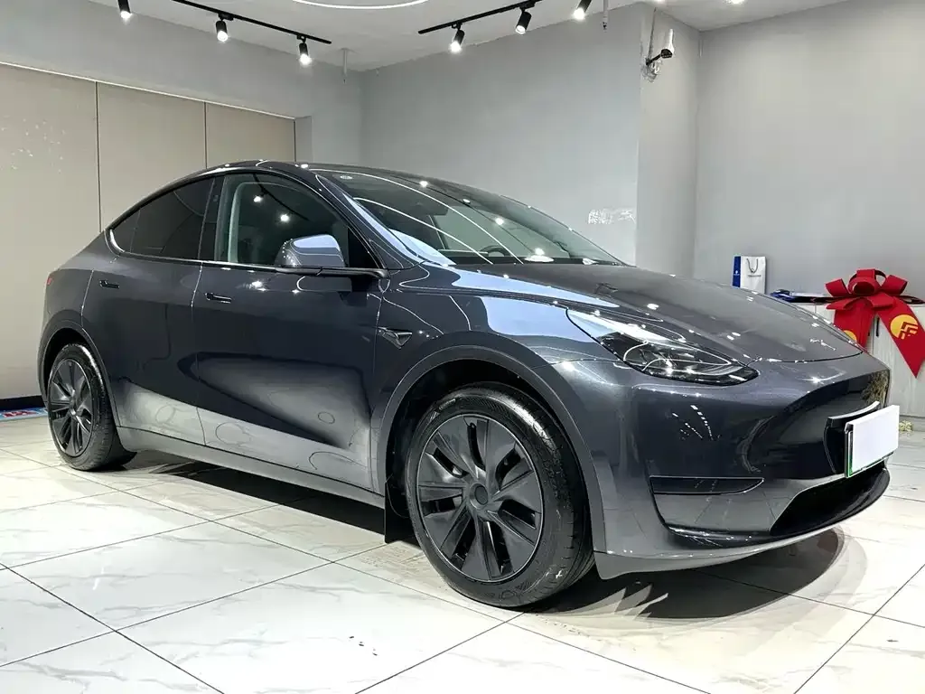 Tesla Model Y — фото 8