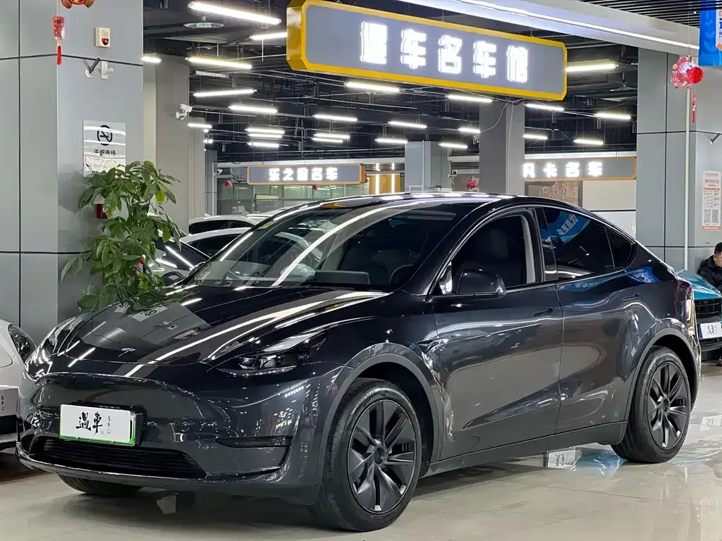 Tesla Model Y — фото 1