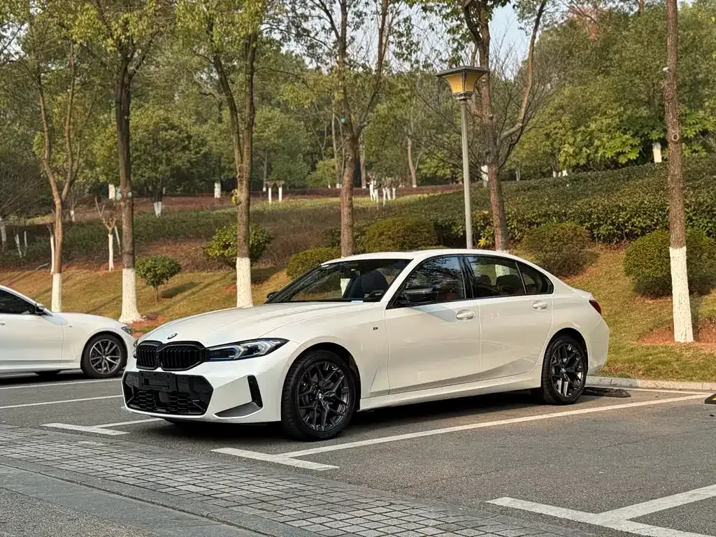 BMW 3 Series 2024 из CN, фото 1