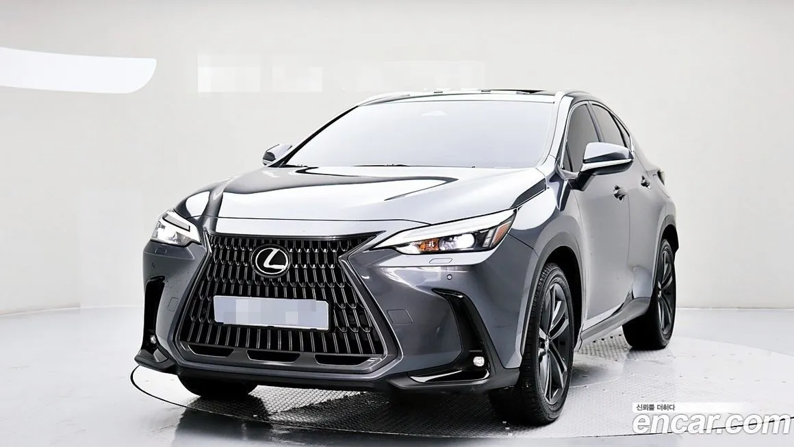 Lexus NX 2025 из KR, фото 1