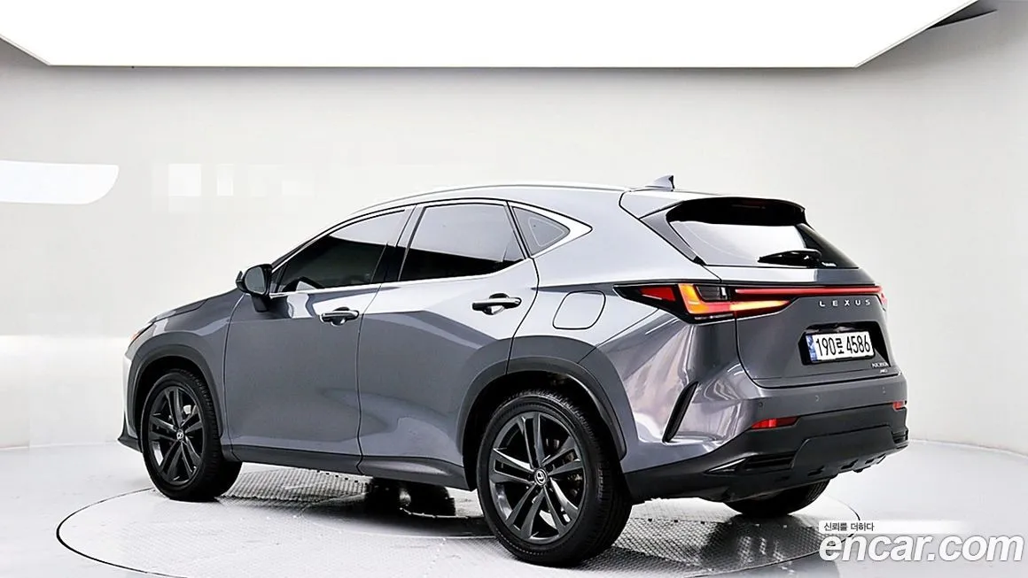 Lexus NX 2025 из KR, фото 7