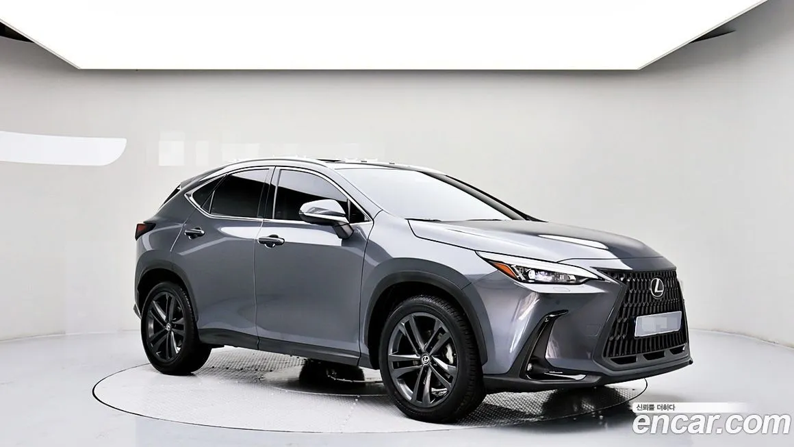 Lexus NX 2025 из KR, фото 3