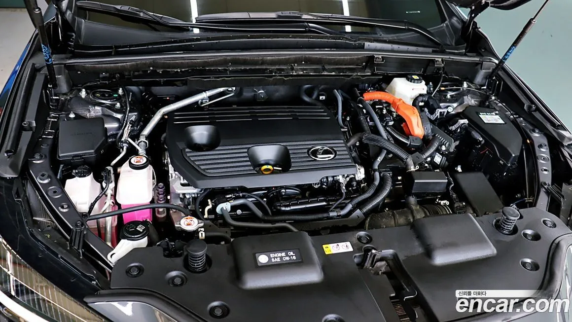 Lexus NX 2025 из KR, фото 8