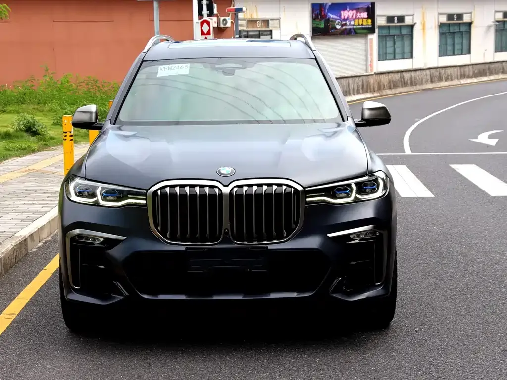 BMW X7 2021 из CN, фото 6