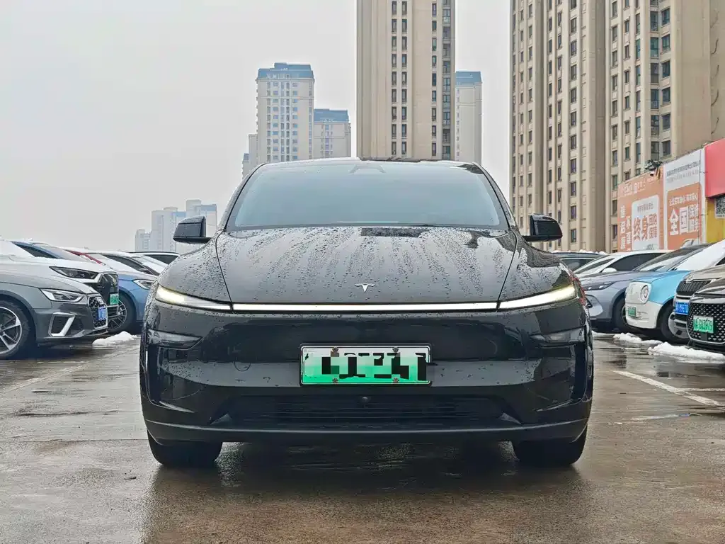 Tesla Model Y — фото 3