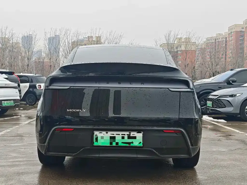 Tesla Model Y — фото 10