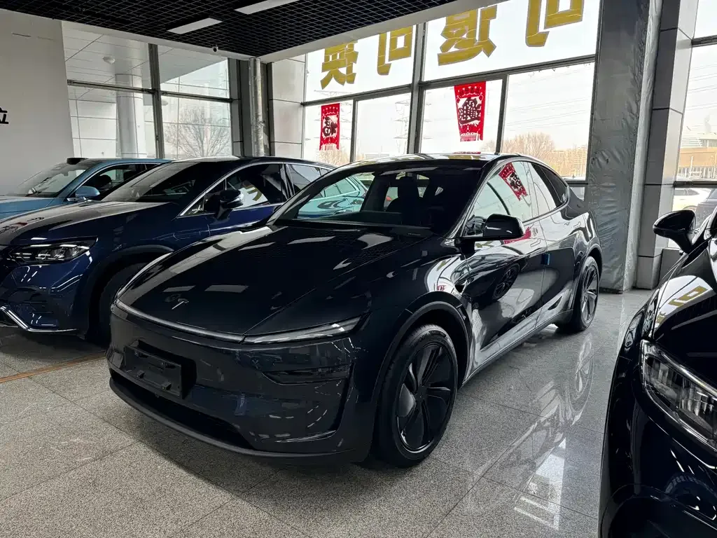 Tesla Model Y — фото 1