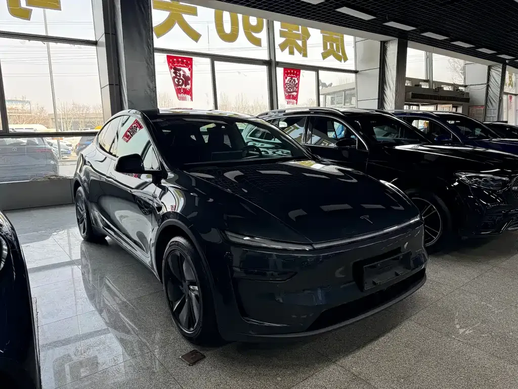 Tesla Model Y — фото 7