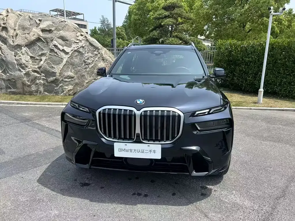 BMW X7 — фото 2