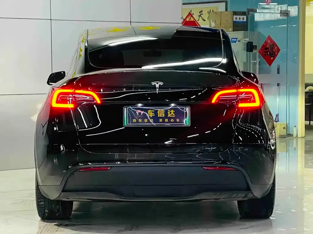 Tesla Model Y — фото 10