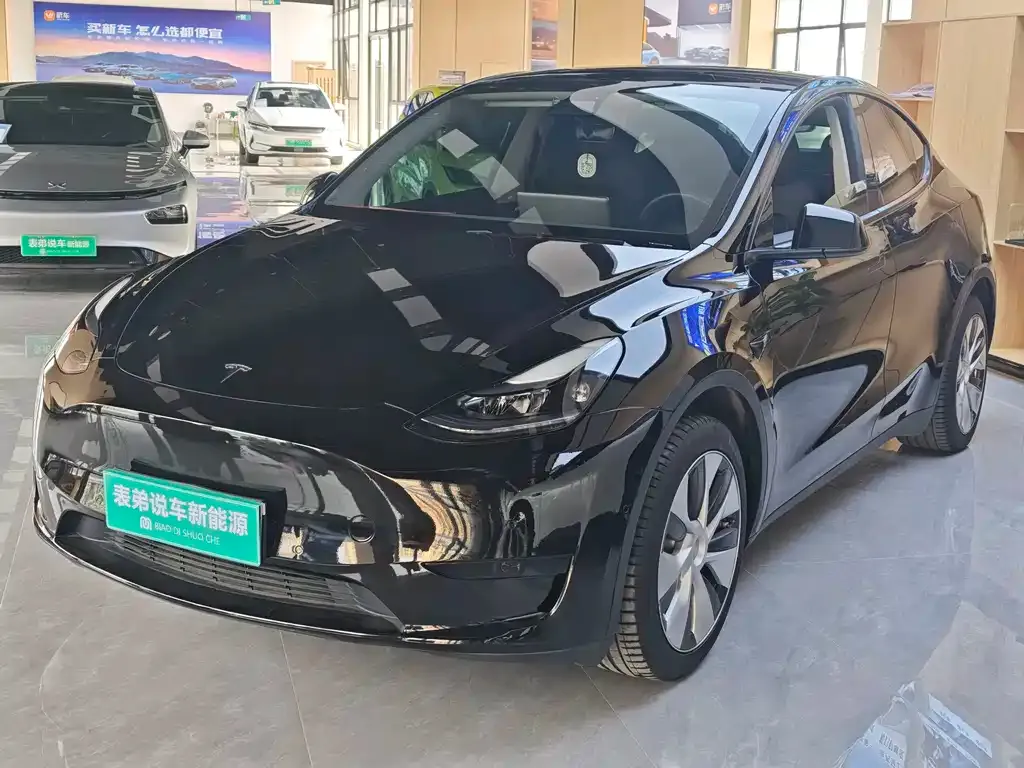 Tesla Model Y — фото 1
