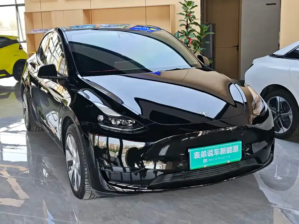 Tesla Model Y — фото 2