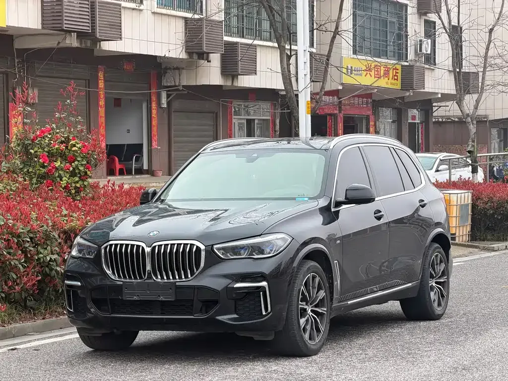 BMW X5 2022 из CN, фото 1