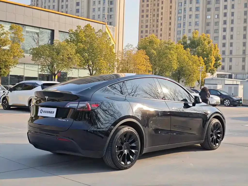 Tesla Model Y — фото 5