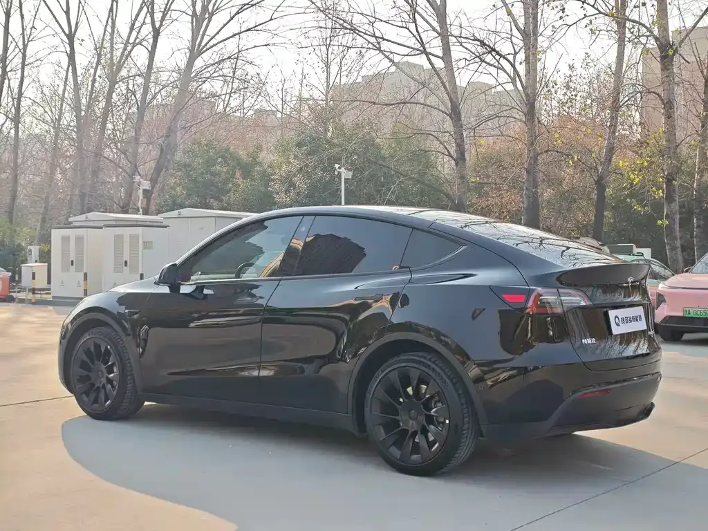 Tesla Model Y — фото 10