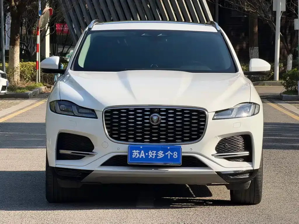 Jaguar F-PACE 2023 из CN, фото 3