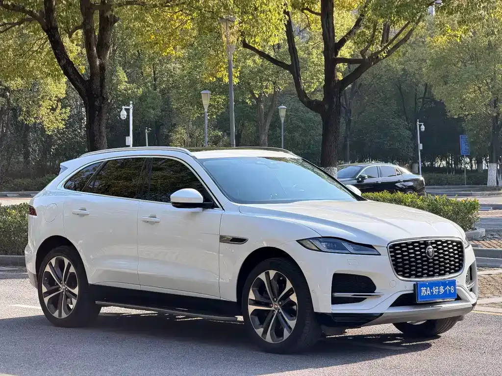 Jaguar F-PACE 2023 из CN, фото 7
