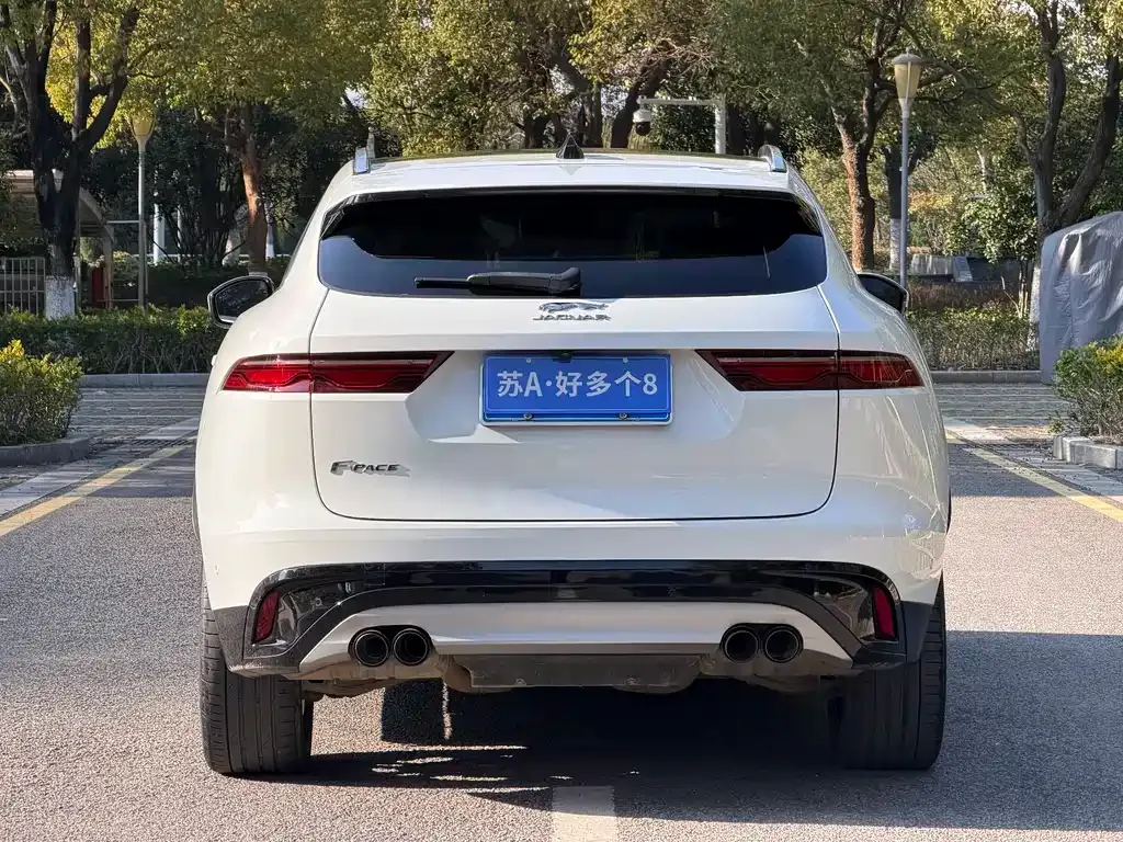 Jaguar F-PACE 2023 из CN, фото 9