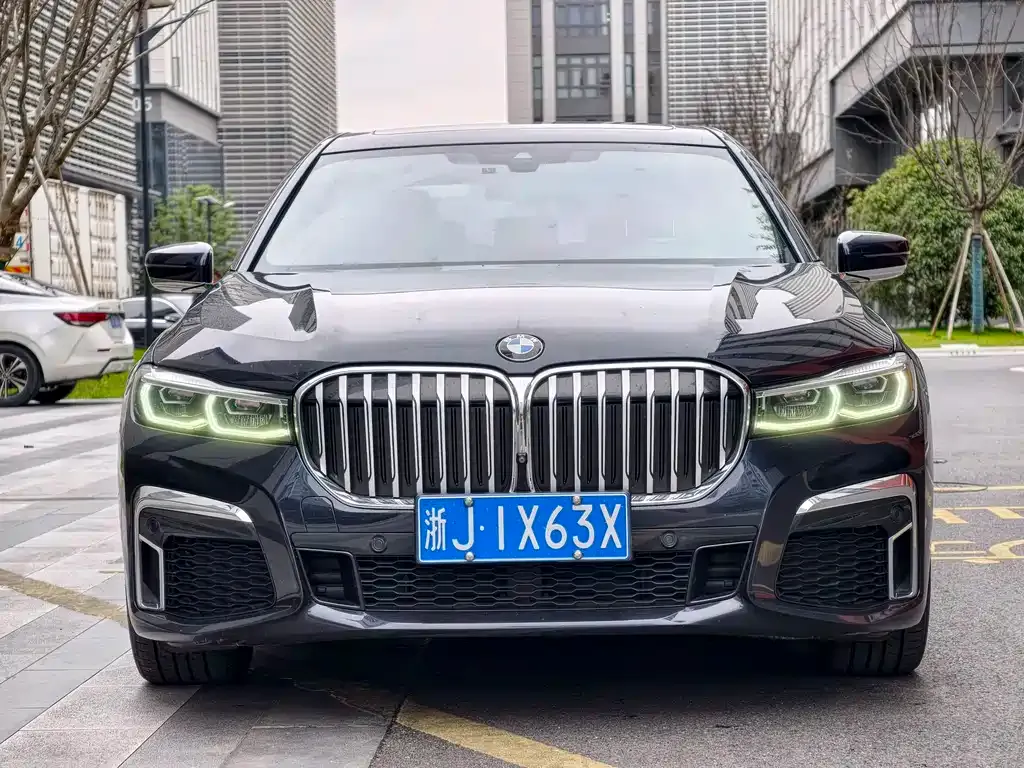 BMW 7 Series 2021 из CN, фото 4