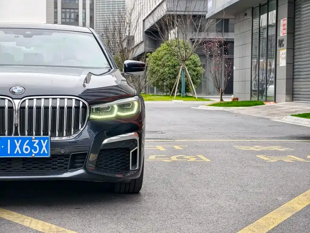 BMW 7 Series 2021 из CN, фото 3