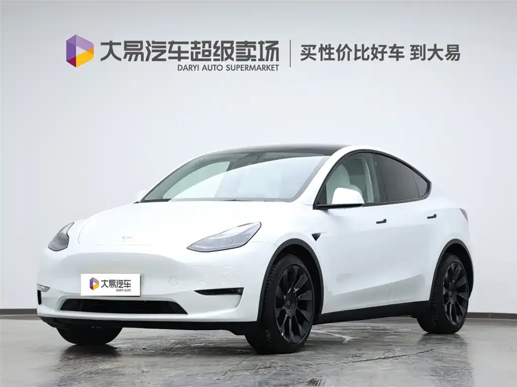 Tesla Model Y — фото 1