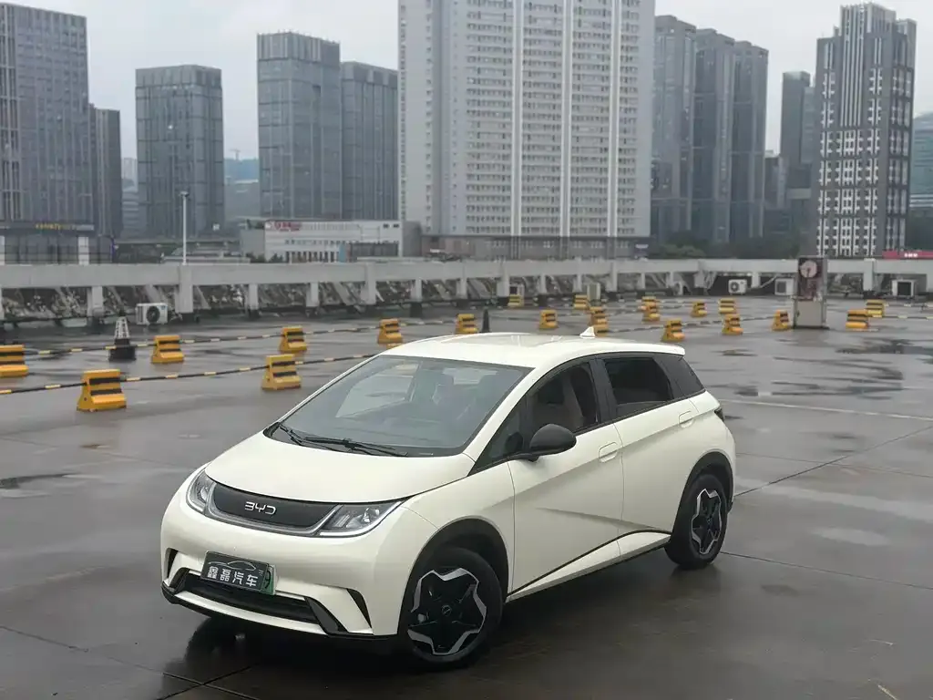 BYD Dolphin 2025 из CN, фото 1
