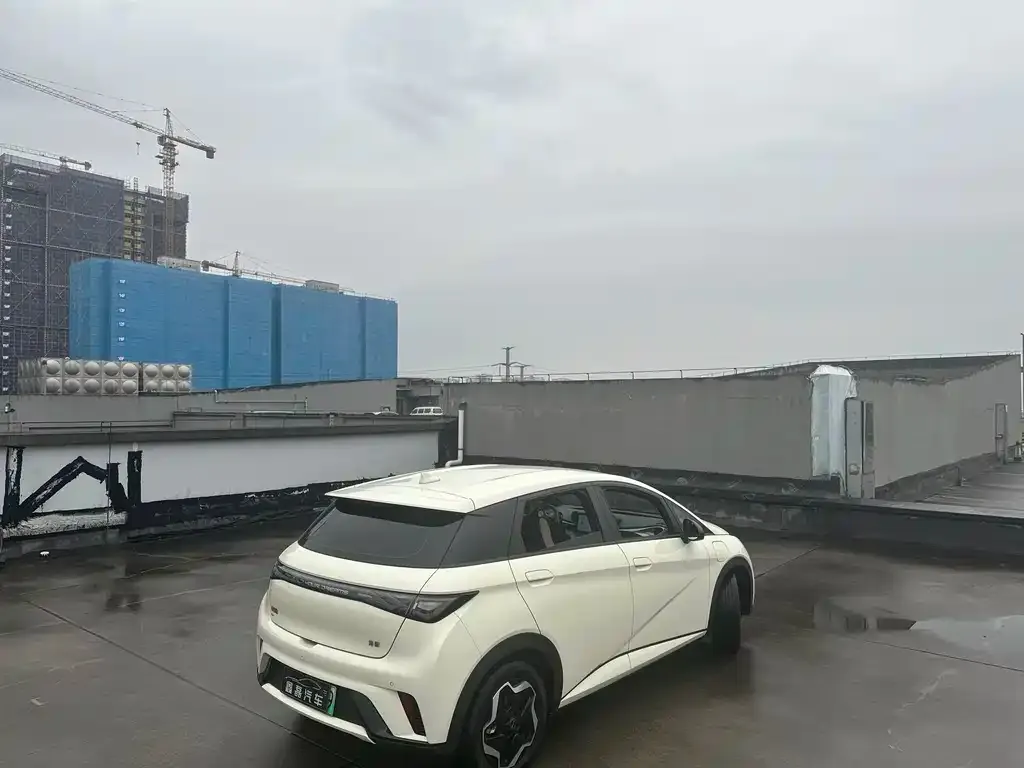 BYD Dolphin 2025 из CN, фото 4