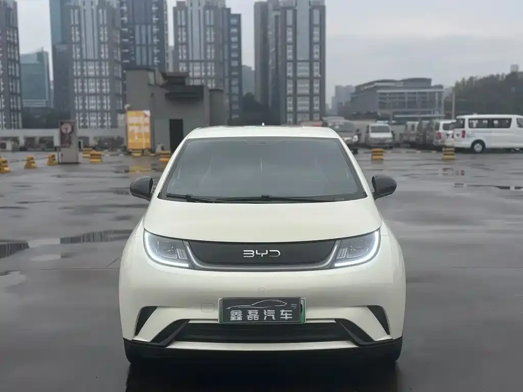 BYD Dolphin 2025 из CN, фото 3